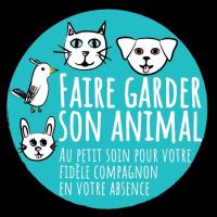 chien-garderie-chiens-de-petites-races-belouizdad-alger-algerie