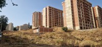 land-sell-tipaza-kolea-algeria
