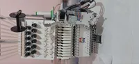 أولاد شبل الجزائر 