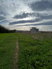 terrain-vente-boumerdes-khemis-el-khechna-algerie