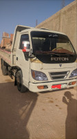 camion-foton-1036-el-guerrara-ghardaia-algerie