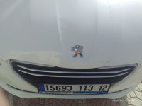 voitures-peugeot-301-2013-active-el-kouif-tebessa-algerie