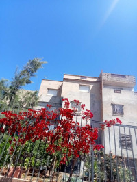 villa-vente-tlemcen-algerie