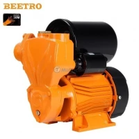 Pompe à eau avec interrupteur automatique ( SERVO ) 370W 30m BEETRO