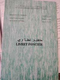 أرض-فلاحية-بيع-بسكرة-الحوش-الجزائر
