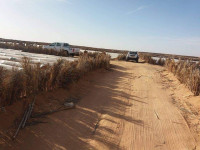 terrain-agricole-vente-biskra-lioua-algerie