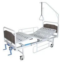 Lit médicalisé  à trois 3 positions tête mélamine avec accessoires