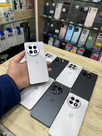 Oneplus Oneplus 13R