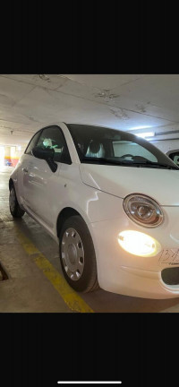 voitures-fiat-500-2024-cult-bir-el-djir-oran-algerie