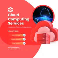 Service Cloud à distance / PLEXUS MAZE LTD