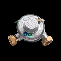 Régulateur de Pression B06 B10 gaz.