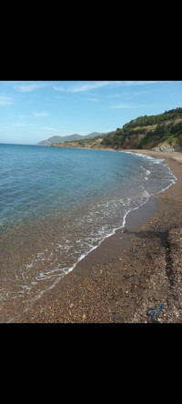 terrain-vente-tipaza-larhat-algerie