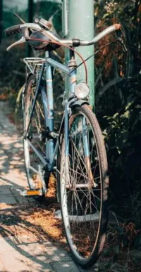 Bicyclette ancienne antiquités 