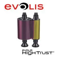 Ruban Evolis Pebble