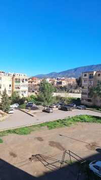 appartement-vente-f3-blida-algerie