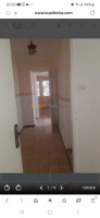 appartement-location-f3-setif-algerie