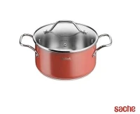 TEFAL MARMITE SENSATION 20CM B9234404