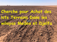 terrain-cherche-achat-djelfa-algerie
