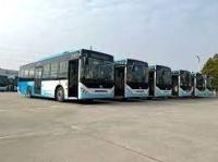 خدمات-في-الخارج-importation-bus-toutes-marques-neufs-occasion-بئر-خادم-الجزائر