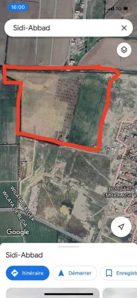 Vente Terrain Alger Tessala el merdja