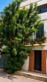 villa-sell-tlemcen-algeria