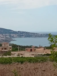 Vente Terrain Boumerdès Dellys