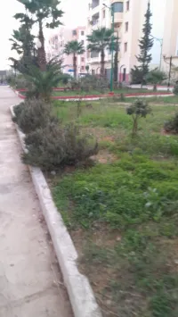 Vente Appartement F3 Tipaza Kolea