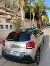 Citroen C3 shaine 2024 Tout option