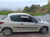 voitures-peugeot-206-1998-larbaa-nath-irathen-tizi-ouzou-algerie