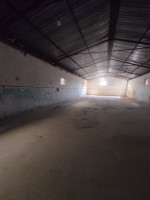 hangar-location-alger-ouled-chebel-algerie