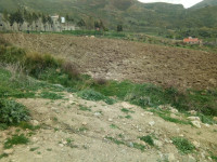 terrain-vente-bejaia-chelata-algerie