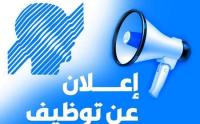 commercial-marketing-عمل-بدوام-جزئي-bir-el-djir-oran-algerie