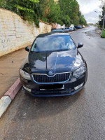 voitures-skoda-octavia-2013-medea-algerie