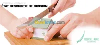 Document D'arpentage Et EDD