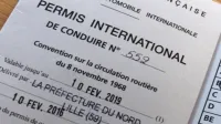 Permis International /EUROPE / USA ( 10 Ans )