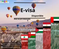VISA JORDANIE DUBAI OMAN EGYPTE AZERBAIJAN LIBAN TANZANIE SRILANKA