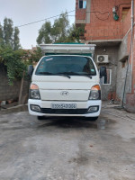 camion-hyundai-h100-2013-bejaia-algerie