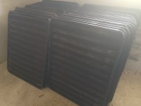 سنيوات صاصا