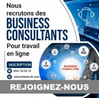 commercial-marketing-business-consultant-job-travail-en-ligne-alger-centre-algerie