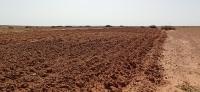 terrain-agricole-vente-djelfa-ain-oussara-algerie