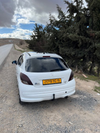 voitures-peugeot-207-2010-setif-algerie