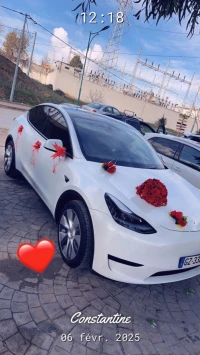 LOCATION AVEC CHAUFFEUR POUR MARIAGE TESLA Y