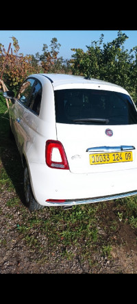 voitures-fiat-500-2024-meftah-blida-algerie