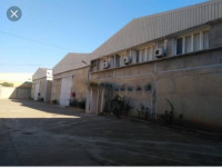 hangar-location-alger-dar-el-beida-algerie