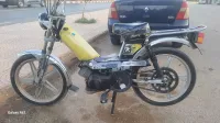 103 sp Sp 2024