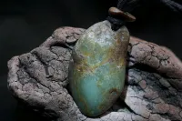 الجزائر 