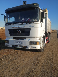 camion-chacman-2014-abou-el-hassan-chlef-algerie