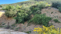 terrain-vente-bejaia-algerie