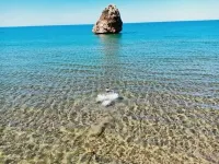 Location Appartement F1 Tlemcen Marsa ben mhidi