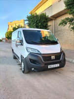 fourgon-fait-ducato-2023-chlef-algerie